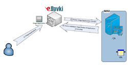 Web design